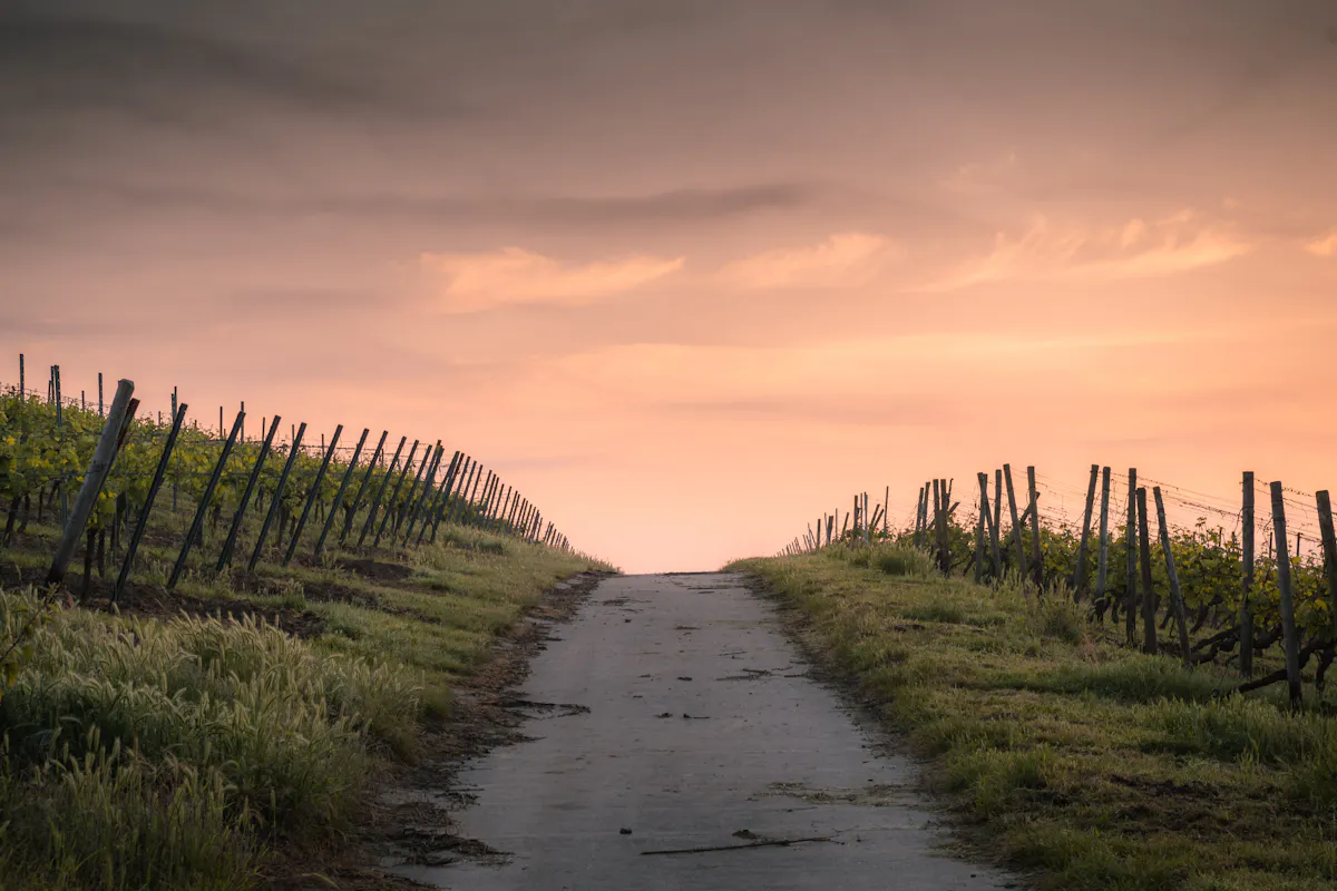 Featured image for Bible Verse About the Narrow Path