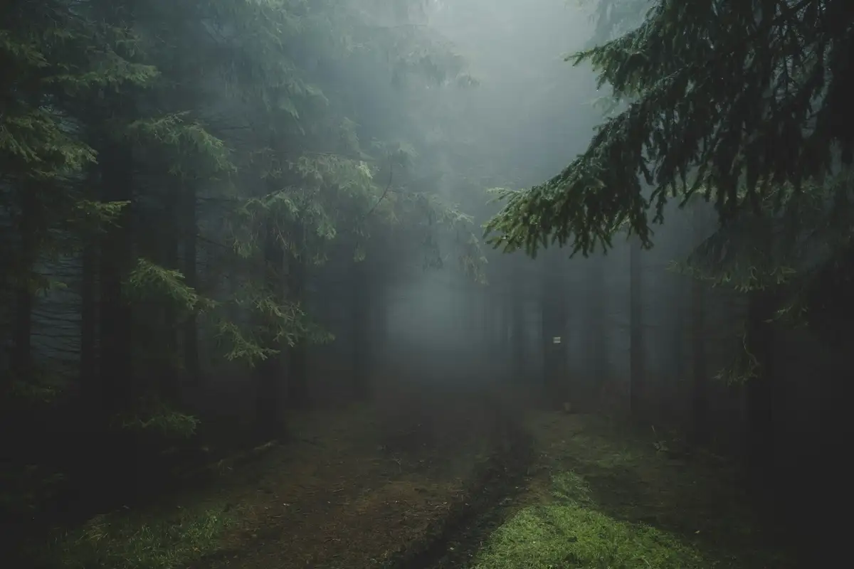 Featured image for Bible Verses About Feeling Lost