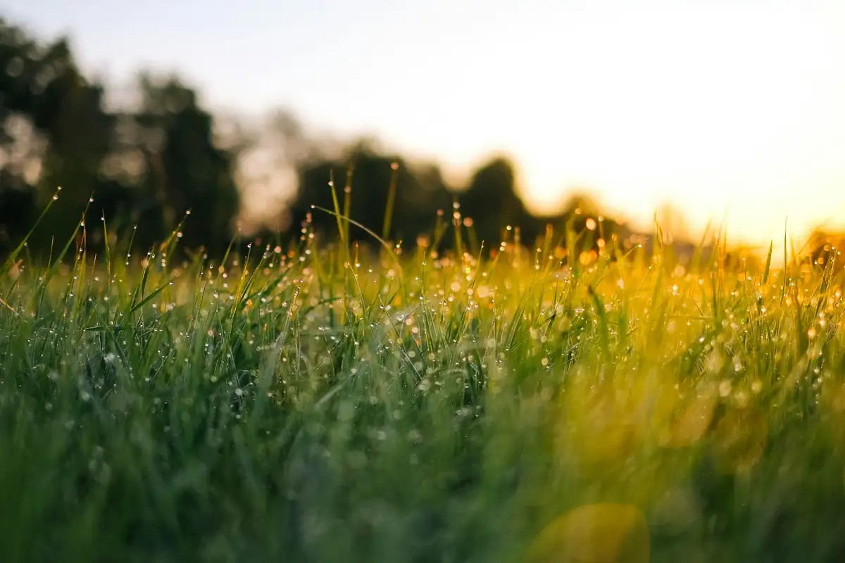 Featured image for Bible Verses About Fresh Air