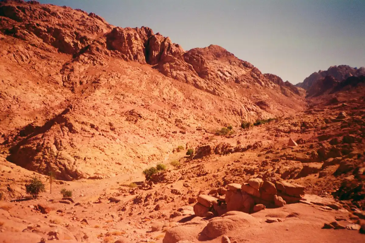 Featured image for Bible Verses About Moses