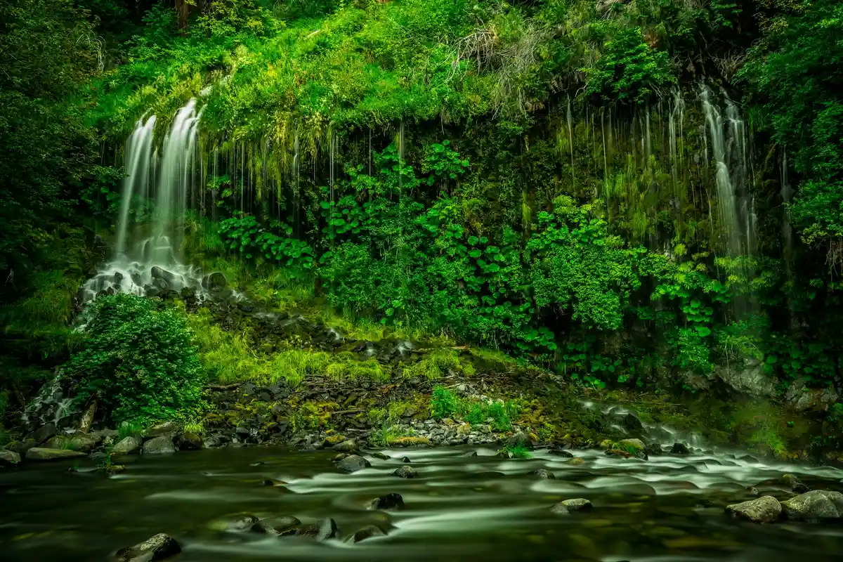 Featured image for Bible Verses About Nature