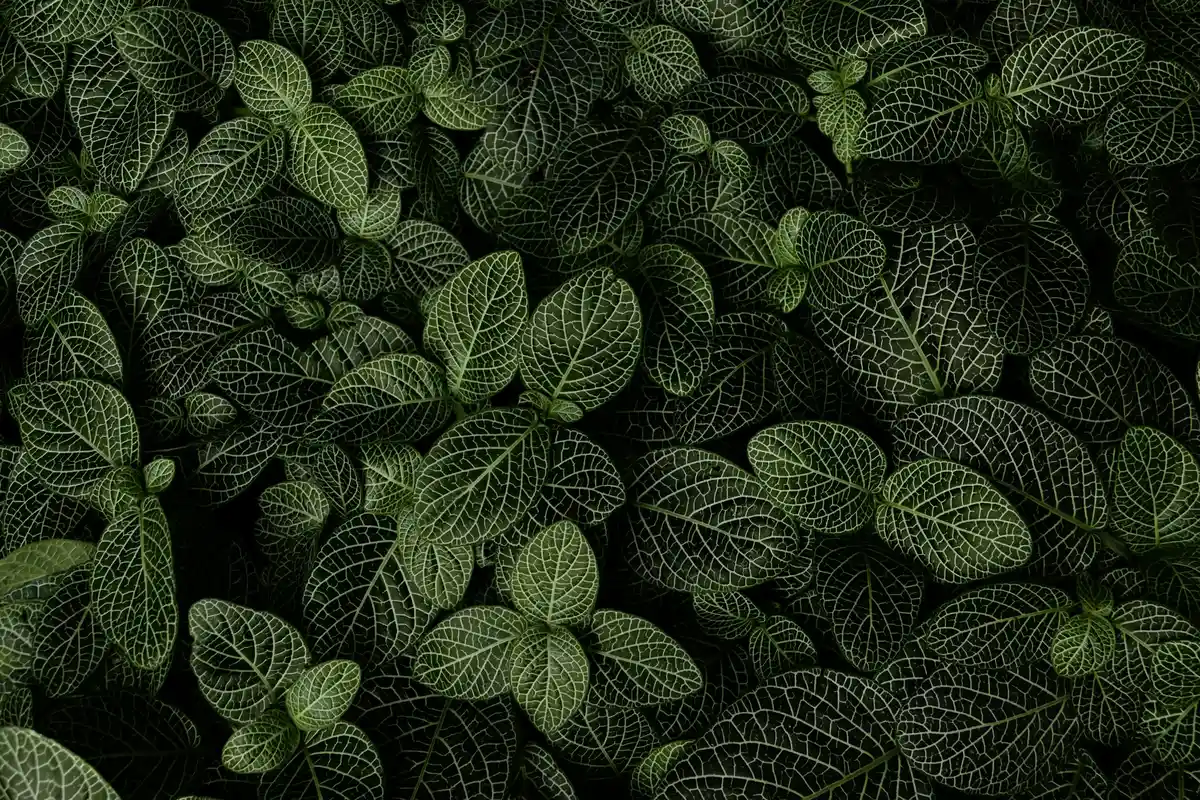 Featured image for Bible Verses About Plants