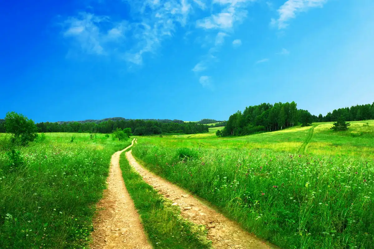 Featured image for Bible Verses About Preparation