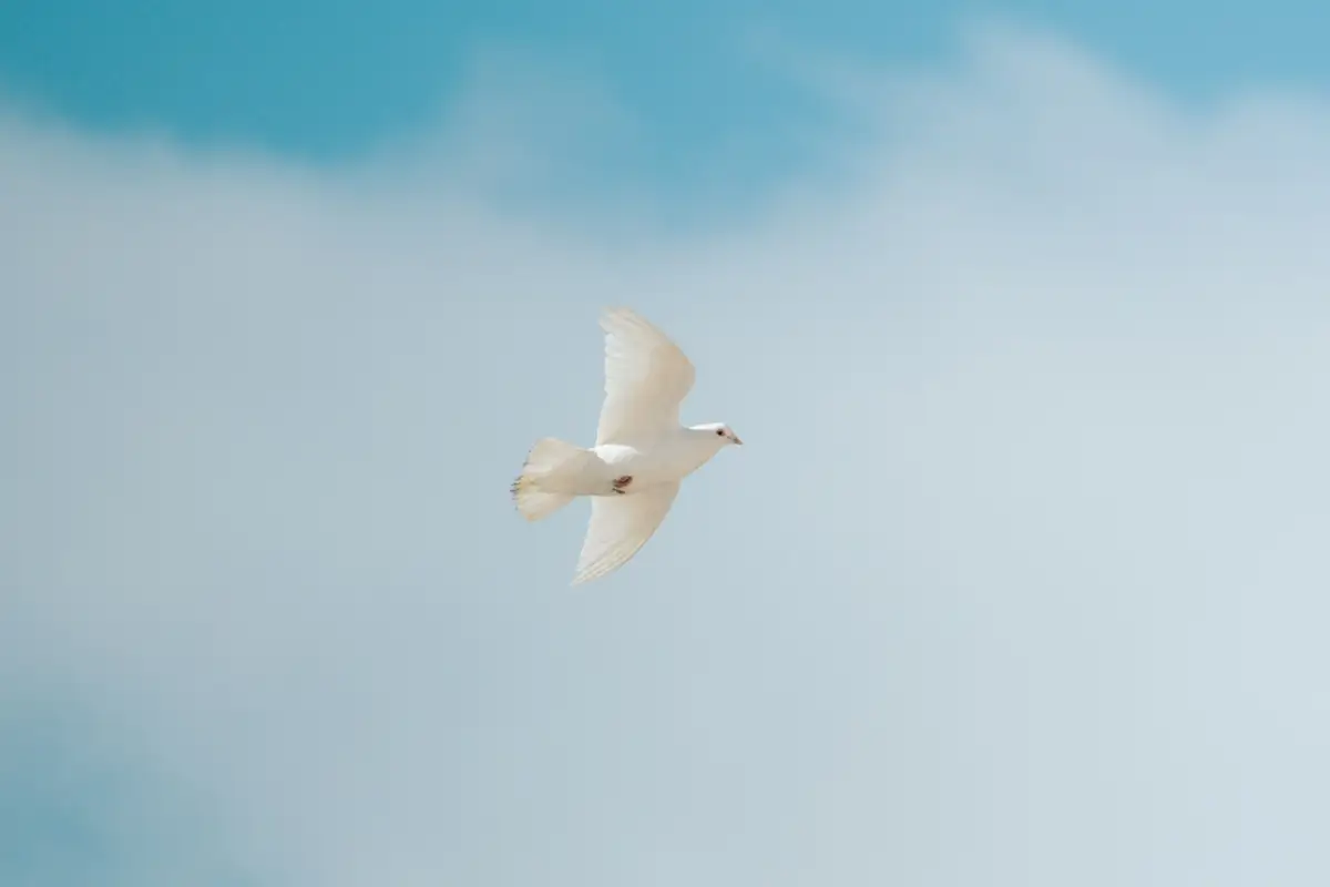 Featured image for Bible Verses About the Gifts of the Holy Spirit