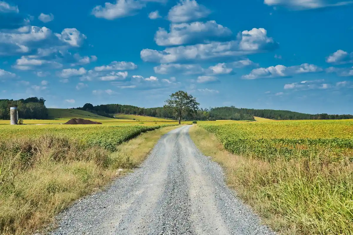 Featured image for Bible Verses About Walking