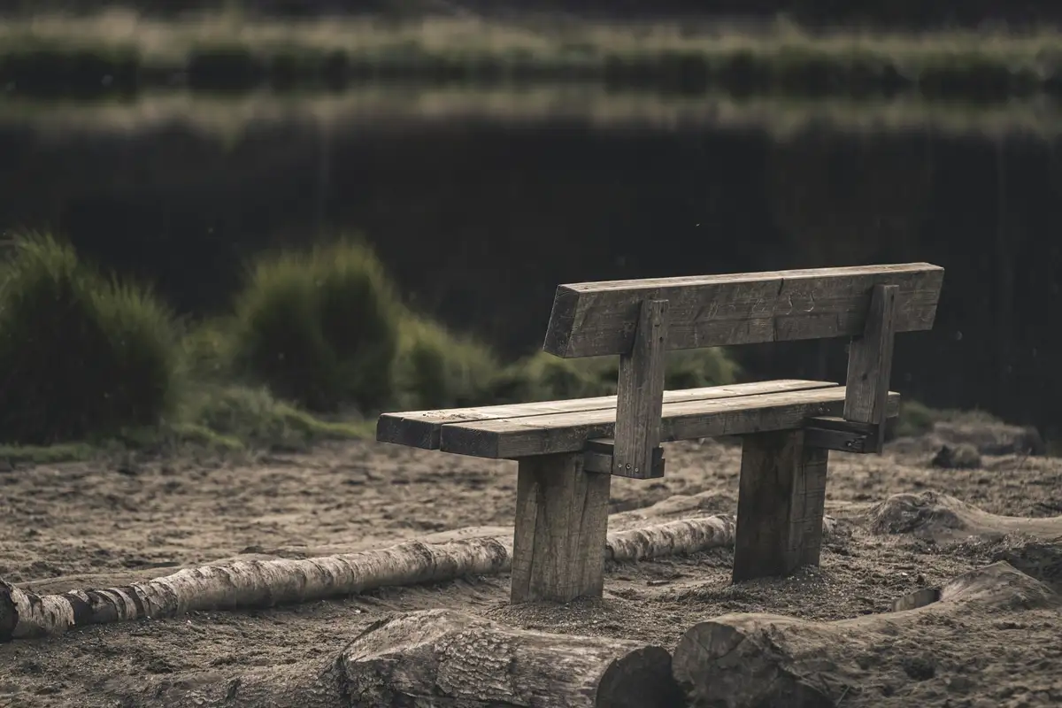 Featured image for Bible Verses About Widowers