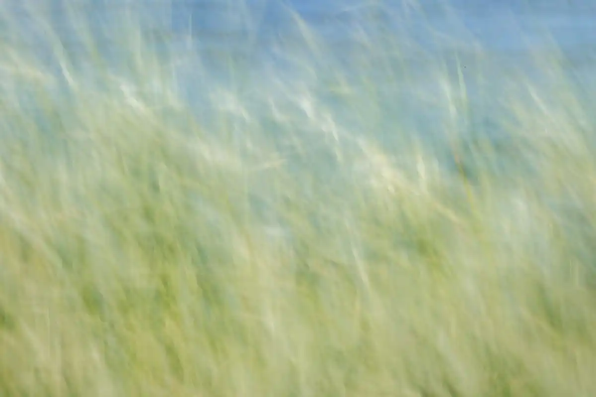 Featured image for Bible Verses About Wind
