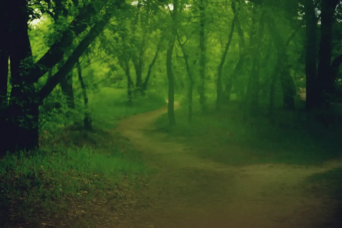 Featured image for Bible Verses for Feeling Defeated