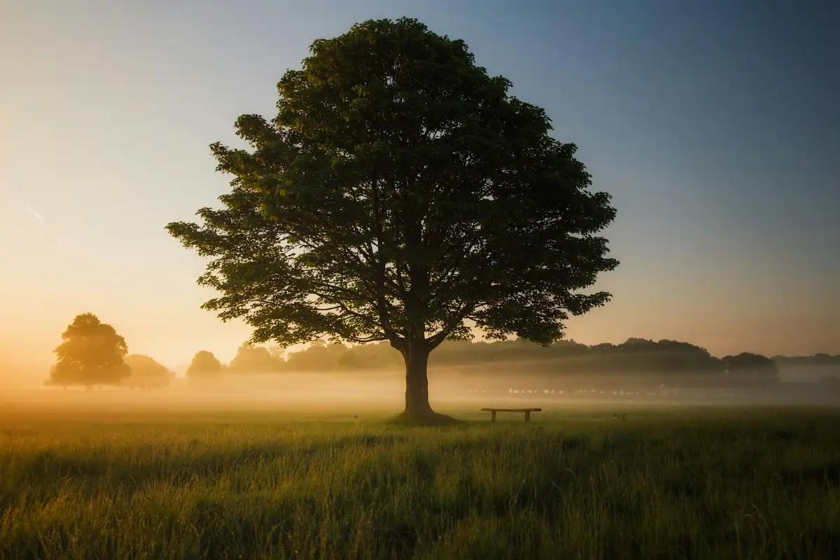 Featured image for Bible Verses For Standing Alone