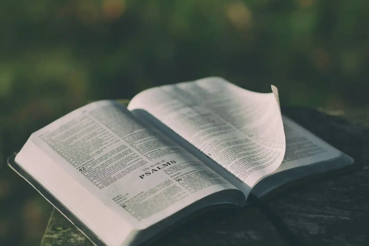 Featured image for Bible Verses From Proverbs