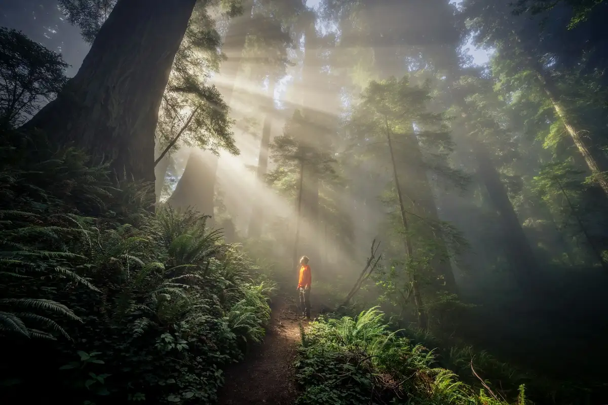 Featured image for Bible Verses to Overcome Fear