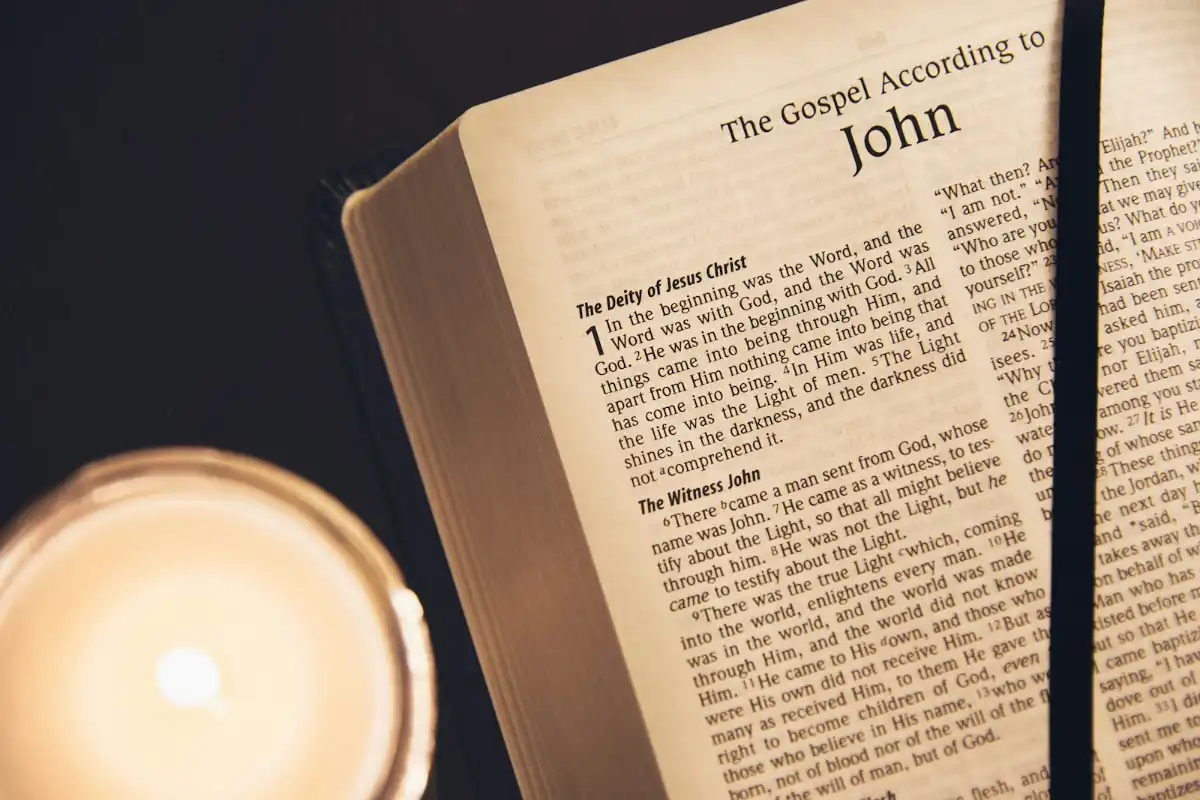 Featured image for Don't Argue With a Fool Bible Verse