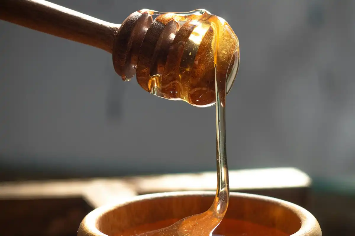 Featured image for Honey in the Rock Bible Verse