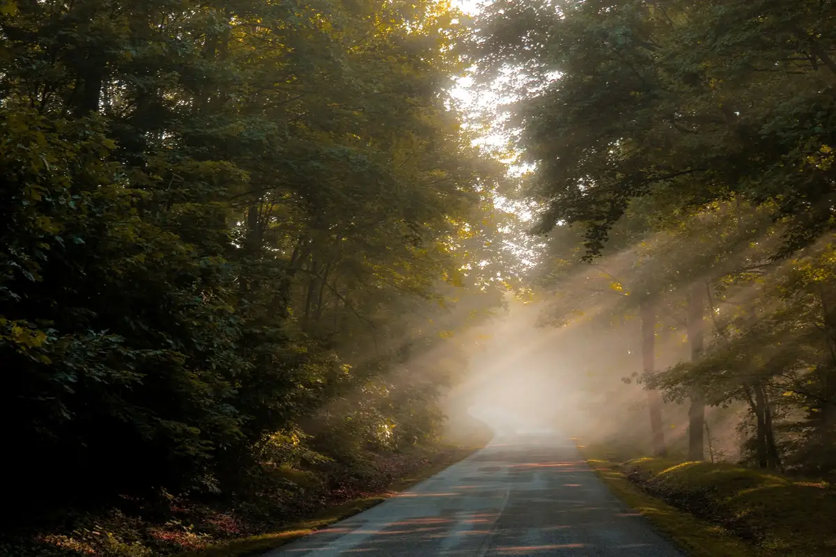 Featured image for Bible Verses For Feeling Anxious About The Future