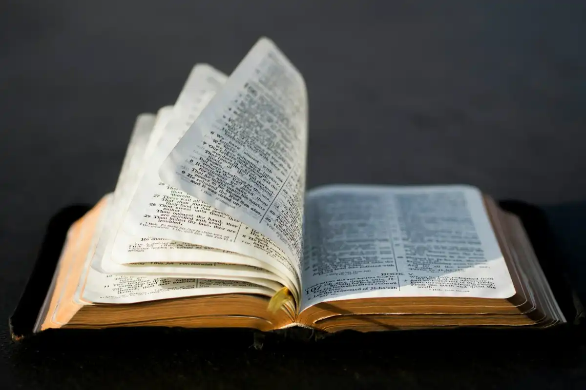 Featured image for Whatever Is True Bible Verse